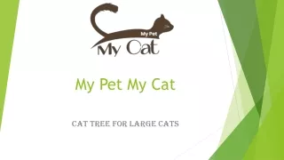 Cat Tree For Large Cats | Mypetmycat.com