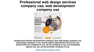 SEO Services Company USA,  Professional web design services company usa