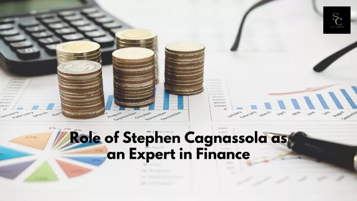 role of stephen cagnassola as an expert in finance