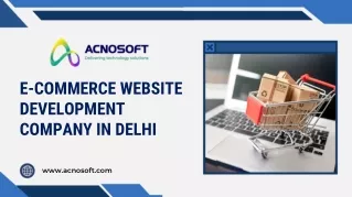 E-COMMERCE WEBSITE DEVELOPMENT COMPANY IN DELHI