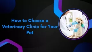 How to Choose a Veterinary Clinic for Your Pet