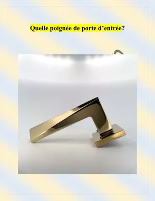 Quelle poignée de porte d’entrée?