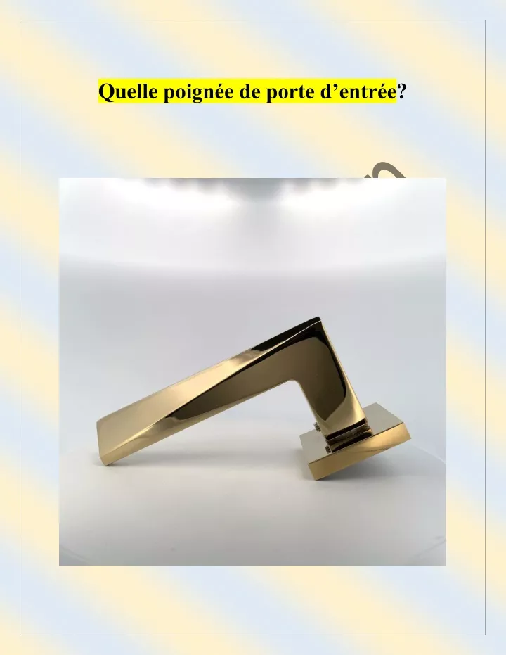 quelle poign e de porte d entr e