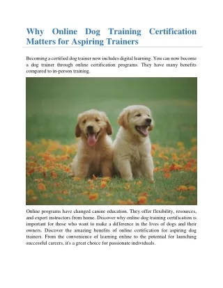 Why Online Dog Training Certification Matters for Aspiring Trainers