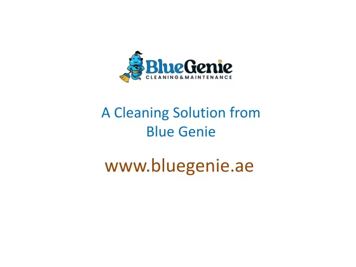 a cleaning solution from blue genie