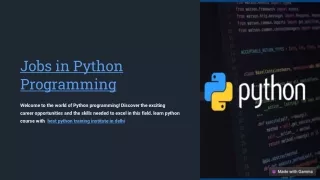 Python Programming Careers