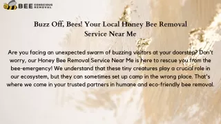 Buzz Off, Bees! Your Local Honey Bee Removal Service Near Me