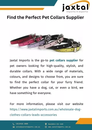 Find the Perfect Pet Collars Supplier