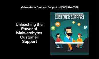 +1 (888) 324-5552 Malwarebytes Customer Support Number