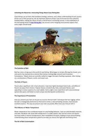 Unlocking the Mysteries: Interesting Things About Carp Fishing Bait