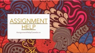 Programming Assignment Maker Help Canada