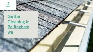 Gutter Cleaning Services in Bellingham WA