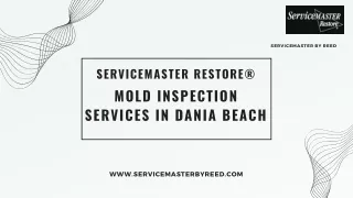 Get the Best for Mold Inspection Services in Dania Beach