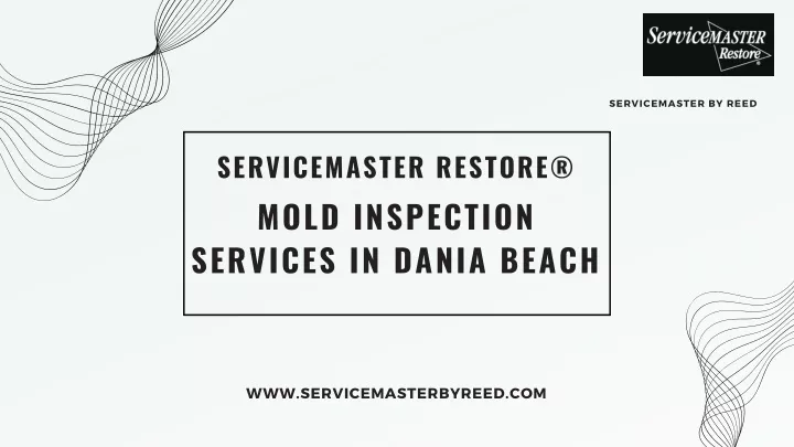 servicemaster by reed