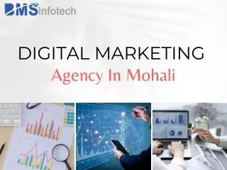 Digital Marketing Agency in Mohali | Bmsinfotech