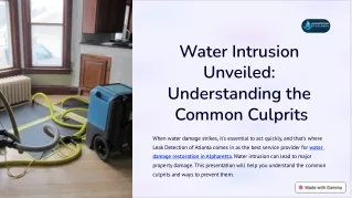 Water Intrusion Unveiled Understanding the Common Culprits