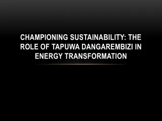 Championing Sustainability The Role of Tapuwa Dangarembizi in Energy Transformation