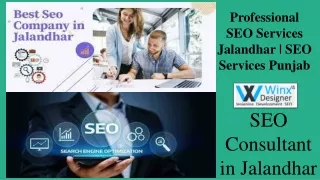 Professional SEO Services Jalandhar