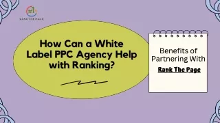How Can a White Label PPC Agency Help with Ranking? | Rank the Page