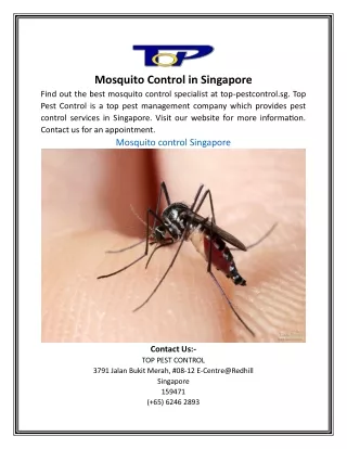 Mosquito Control in Singapore