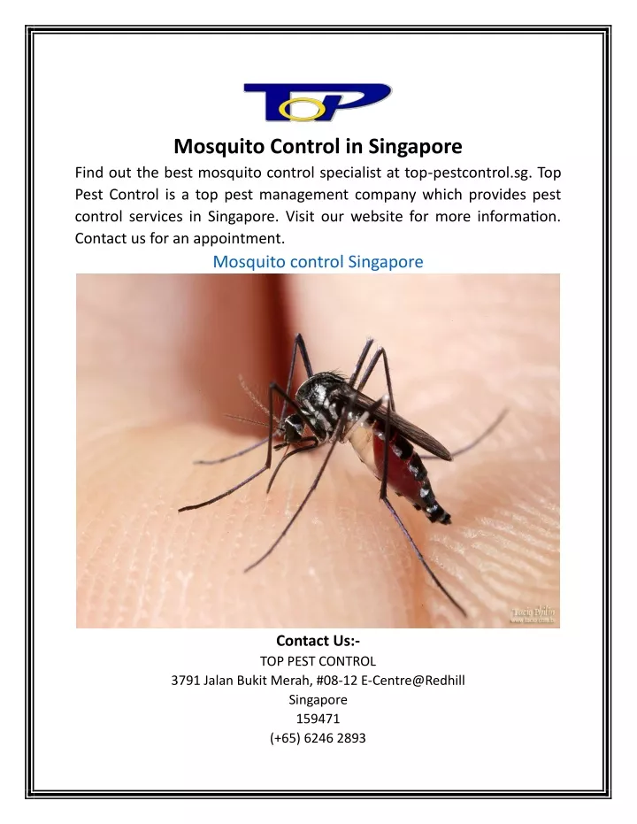 mosquito control in singapore find out the best