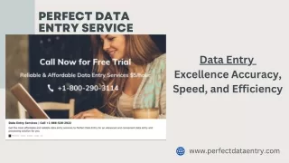 Perfect Data Entry Service