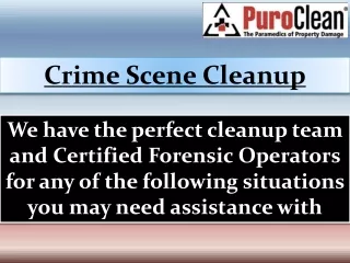 Crime Scene Cleanup