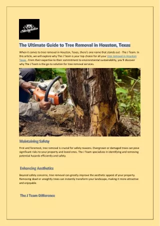 Tree Removal in Houston