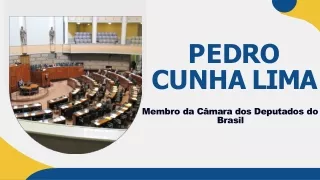 A Perspectiva do Processo Legislativo no Brasil por Pedro Cunha Lima