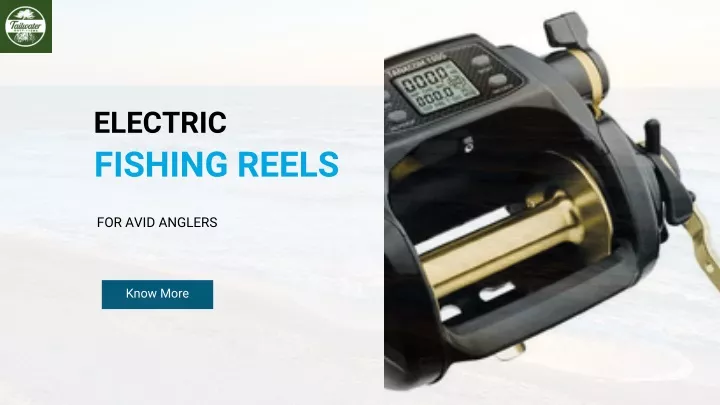 electric fishing reels