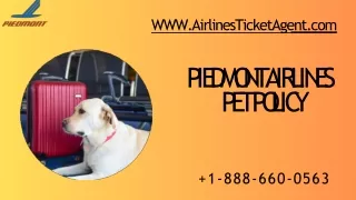 piedmont-airlines-pet-policy
