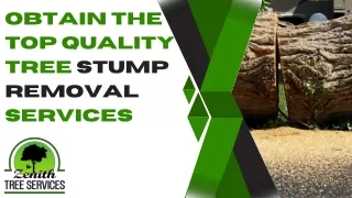 Obtain the top quality Tree stump Removal Services