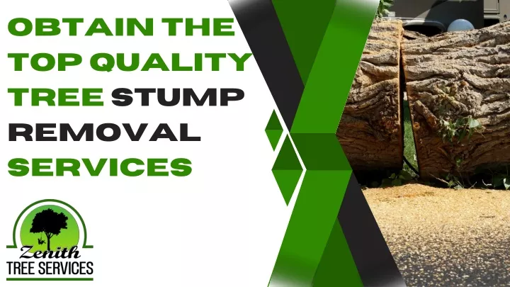 obtain the top quality tree stump removal services