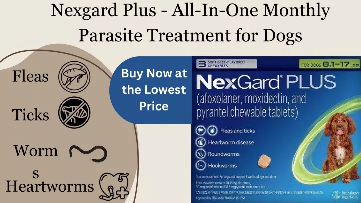 nexgard plus all in one monthly parasite