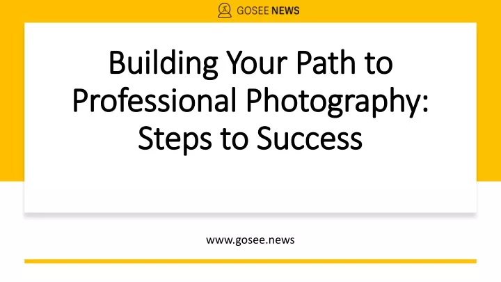 building your path to professional photography steps to success