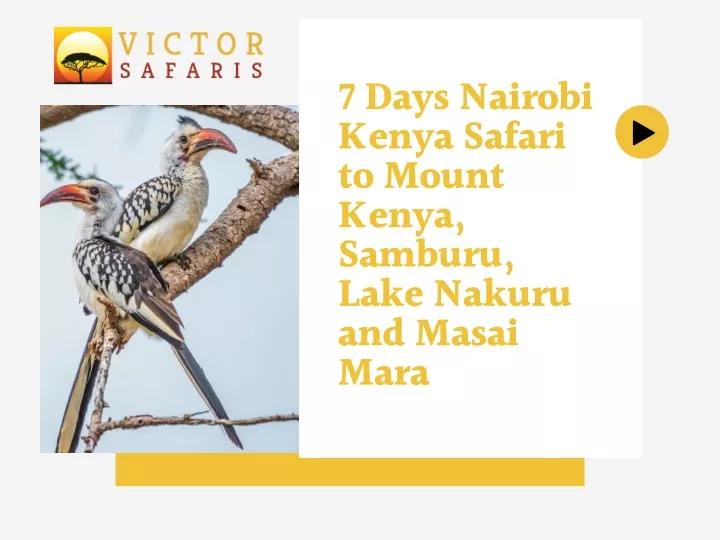 7 days nairobi kenya safari to mount kenya