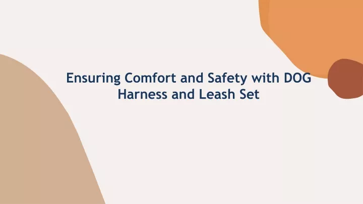 ensuring comfort and safety with dog harness and leash set