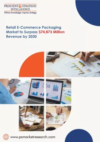 Packaging the Future: Navigating the Retail E-Commerce Packaging Market