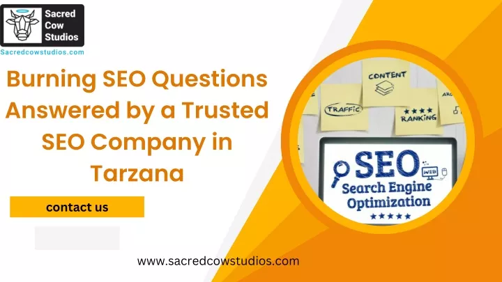 burning seo questions answered by a trusted