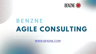 Choose Best with Benzne for an Agile Consulting Firm in Dubai