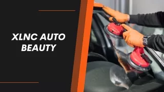 Best Car Dog Hair Removal Service