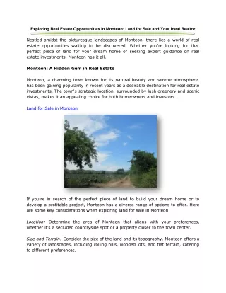 Exploring Real Estate Opportunities Monteon: Land for Sale and Your Ideal Reator