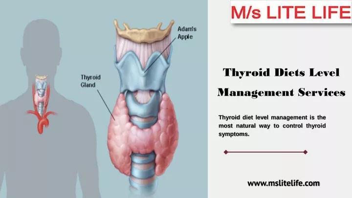 thyroid diets level