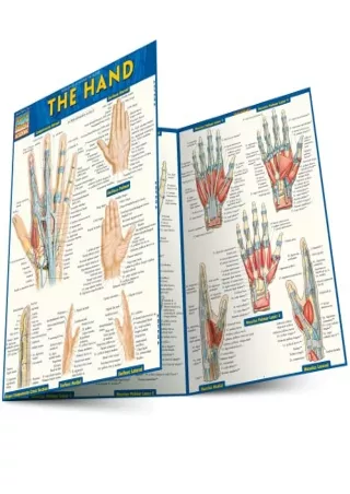 [PDF READ ONLINE] The Hand (Quick Study Academic)