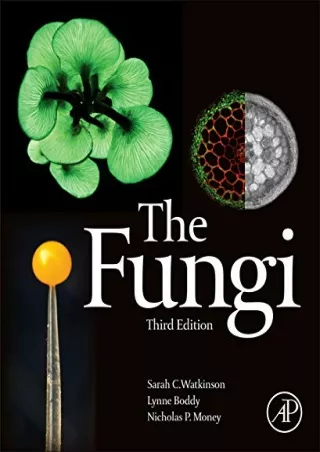 [PDF READ ONLINE] The Fungi