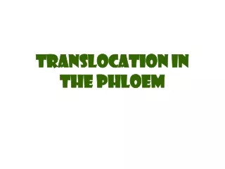 6. Translocation in the Phloem