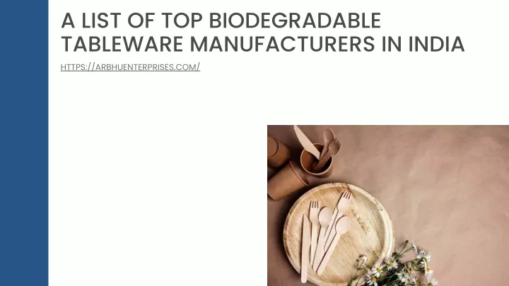 a list of top biodegradable tableware