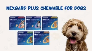 Buy Nexgard Plus for Dogs Online | Trusted Flea and Tick Treatment
