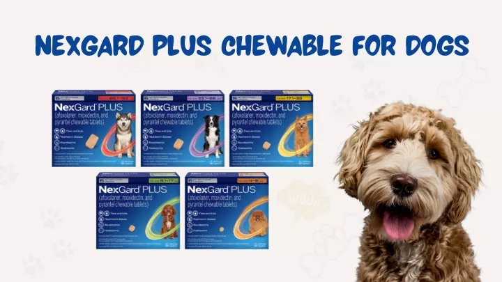 nexgard plus chewable for dogs
