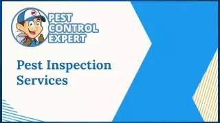 Pest Inspection Services - Pest Control Expert
